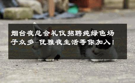 烟台夜总会礼仪招聘纯绿色场子众多-优雅夜生活等你加入！ 