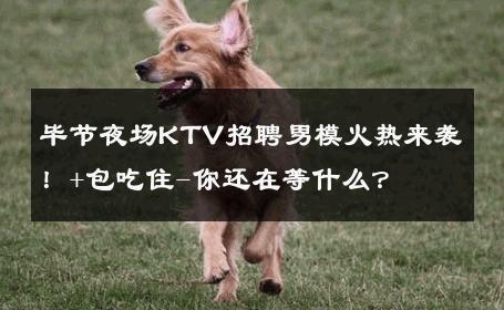 毕节夜场KTV招聘男模火热来袭！+包吃住-你还在等什么？ 