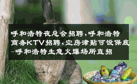 呼和浩特夜总会招聘,呼和浩特商务KTV招聘,空房津贴可设保底-呼和浩特生意火爆场所直招