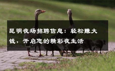 昆明夜场招聘信息：轻松赚大钱，开启您的精彩夜生活