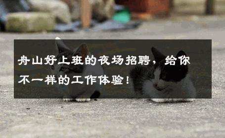 舟山好上班的夜场招聘，给你不一样的工作体验！