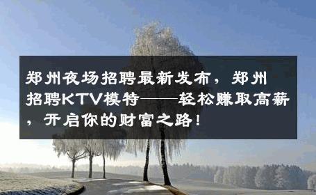 郑州夜场招聘最新发布，郑州招聘KTV模特——轻松赚取高薪，开启你的财富之路！