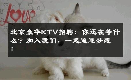 北京豪华KTV招聘：你还在等什么？加入我们，一起追逐梦想！