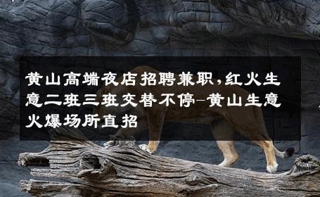 黄山高端夜店招聘兼职,红火生意二班三班交替不停-黄山生意火爆场所直招