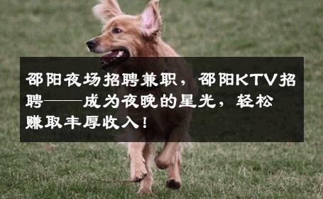 邵阳夜场招聘兼职，邵阳KTV招聘——成为夜晚的星光，轻松赚取丰厚收入！