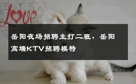 岳阳夜场招聘主打二班，岳阳高端KTV招聘模特