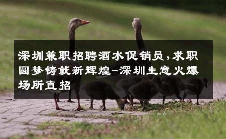 深圳兼职招聘酒水促销员,求职圆梦铸就新辉煌-深圳生意火爆场所直招