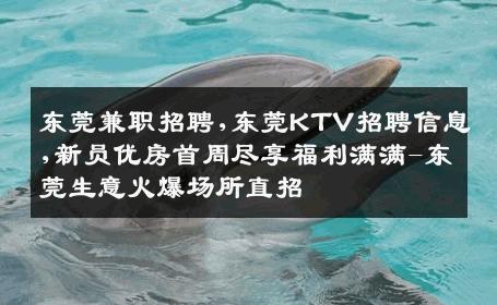 东莞兼职招聘,东莞KTV招聘信息,新员优房首周尽享福利满满-东莞生意火爆场所直招