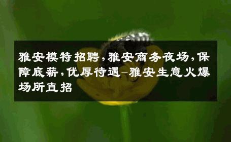 雅安模特招聘,雅安商务夜场,保障底薪,优厚待遇-雅安生意火爆场所直招