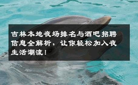 吉林本地夜场排名与酒吧招聘信息全解析，让你轻松加入夜生活潮流！