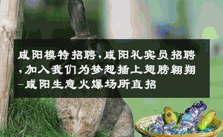 咸阳模特招聘,咸阳礼宾员招聘,加入我们为梦想插上翅膀翱翔-咸阳生意火爆场所直招